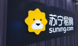 苏宁易购员工最新爆料,揭秘员工视角下的企业变革与挑战